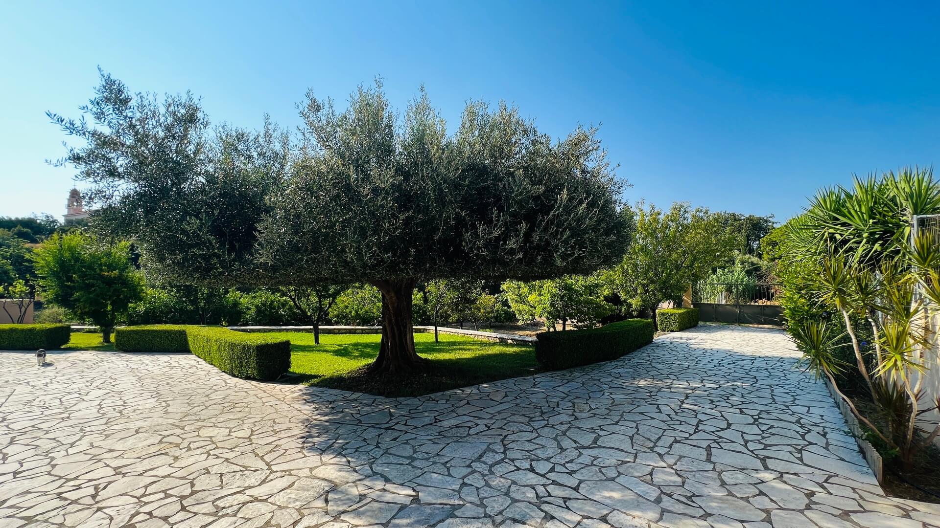 garden 4.jpg